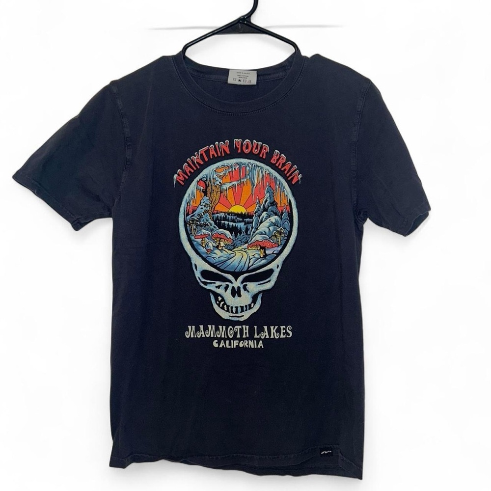 Grateful Dead ‘Maintain Your Brain’ Mammoth Mountain California